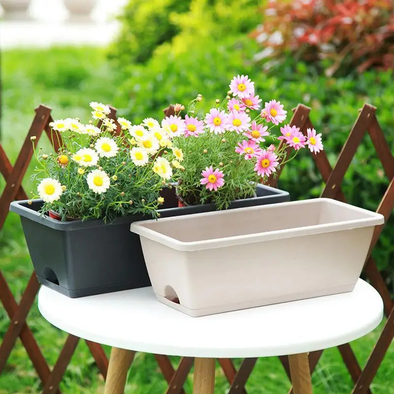 pots fleurs auto arrosants corde absorbante culture légumes intérieur base drainage moderne vert rouge