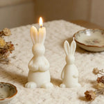 moule silicone gâteau forme lapin relief artisanal décoration cuisine gourmande festive