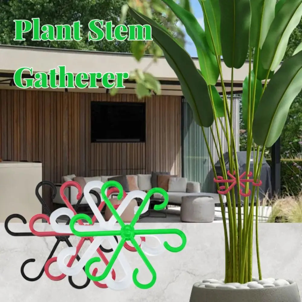 soutien tige plante repliant cadre évaluant branches outil jardin fixant fleurs six branches étoile