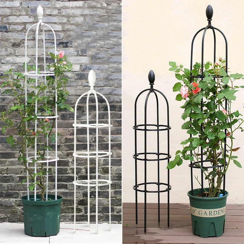 support plante grimpante structure circulaire nylon blanc noir moderne minimaliste
