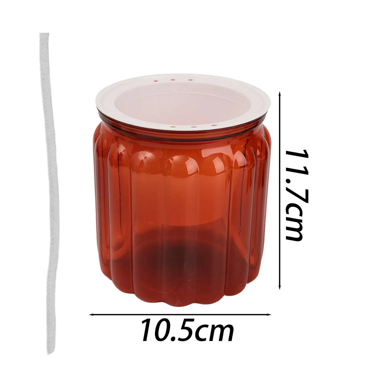 pot plante moderne transparent rayures vertes fleur intérieure minimaliste