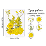 fleurs séchées plantes écologiques intérieur anniversaire baby shower exposition minimalistes cartes postales ornementales fixations