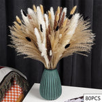 bouquet pampas séchés noir blanc décoration maison halloween anniversaire boho festive