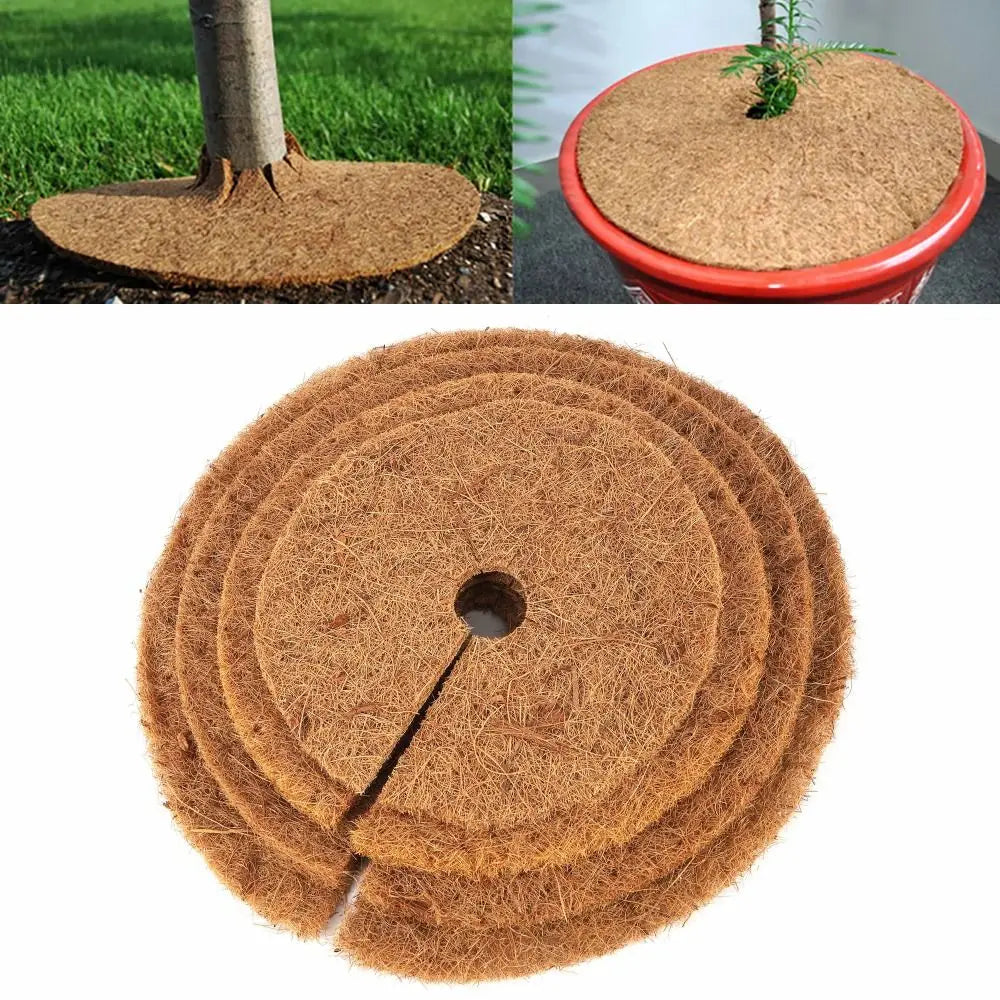 anneau paillage arbre marron clair fibres naturelles non uniformes opacité naturel rustique trou central