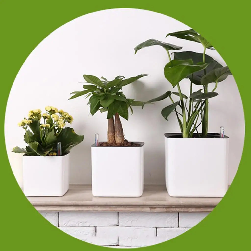 pot plante autoarrosant indicateur eau blanc moderne plantes fleurs herbes légumesintérieurextérieur