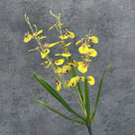 bouquet fleurs artificielles orchidées orange jaune rose blanc bleu modernes decoration mariage anniversaireintérieur