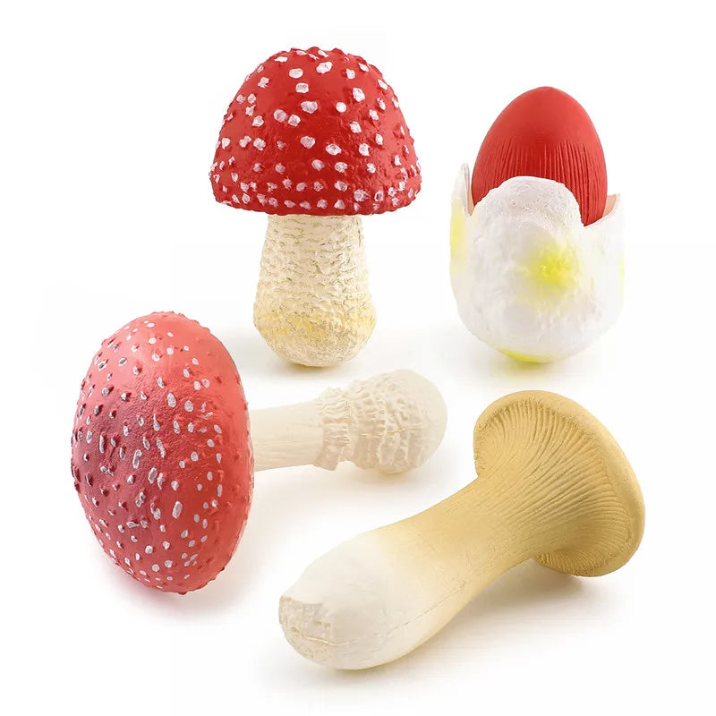 miniatures champignons réalistes photographie accessoires gris rouge blanc marron opaques pastoralesextérieur