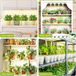 lampe led plante blanc noir moderne adhésif 12 ampoules supplémentaires pcs ultra mince