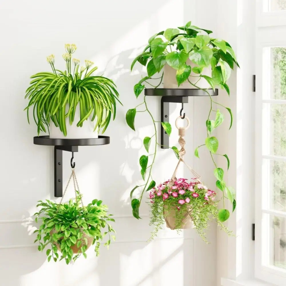 support mural noir étagère crochet plantes suspendues pot terre cuite modernes minimaliste rustique bohème