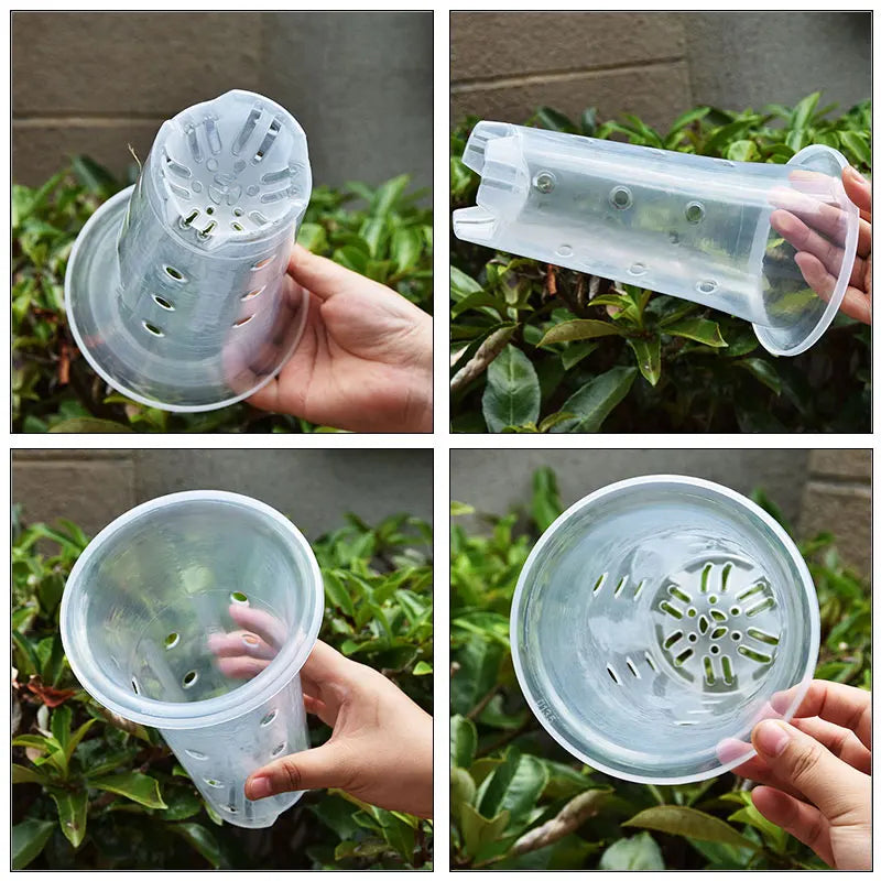 pots plante moderne perforés noir transparent profonds jardinintérieur 10pcs 5pcs