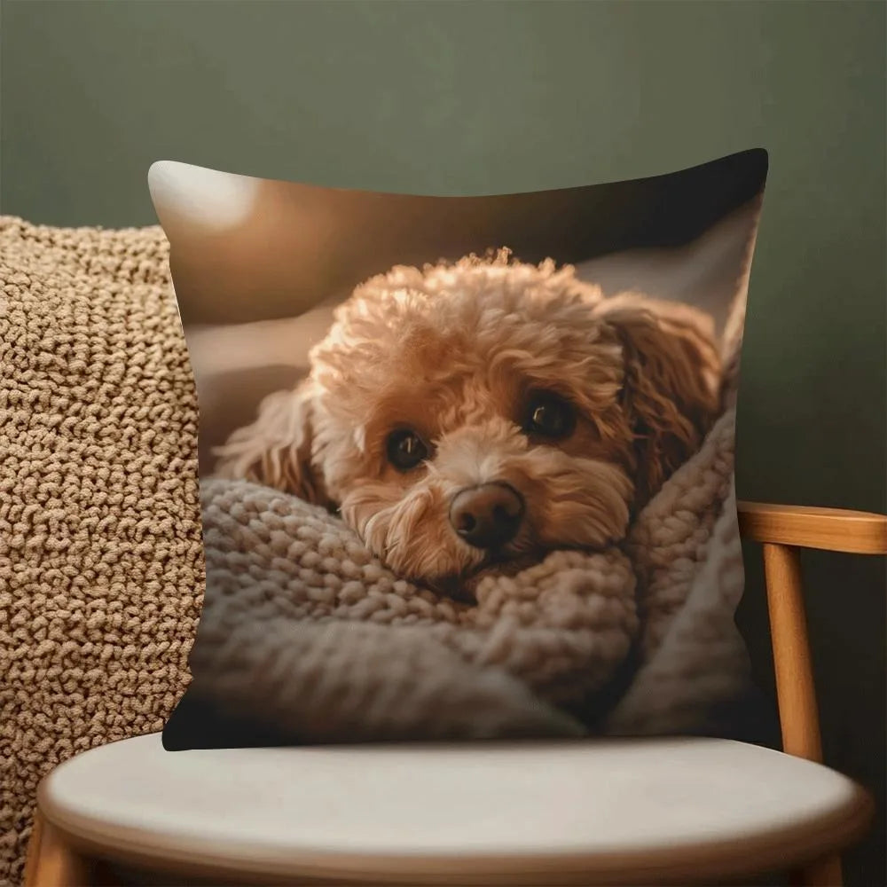 housse coussin imprimé chien orange noir polyester moderne décoration chambre voiture 45x45cm opaque