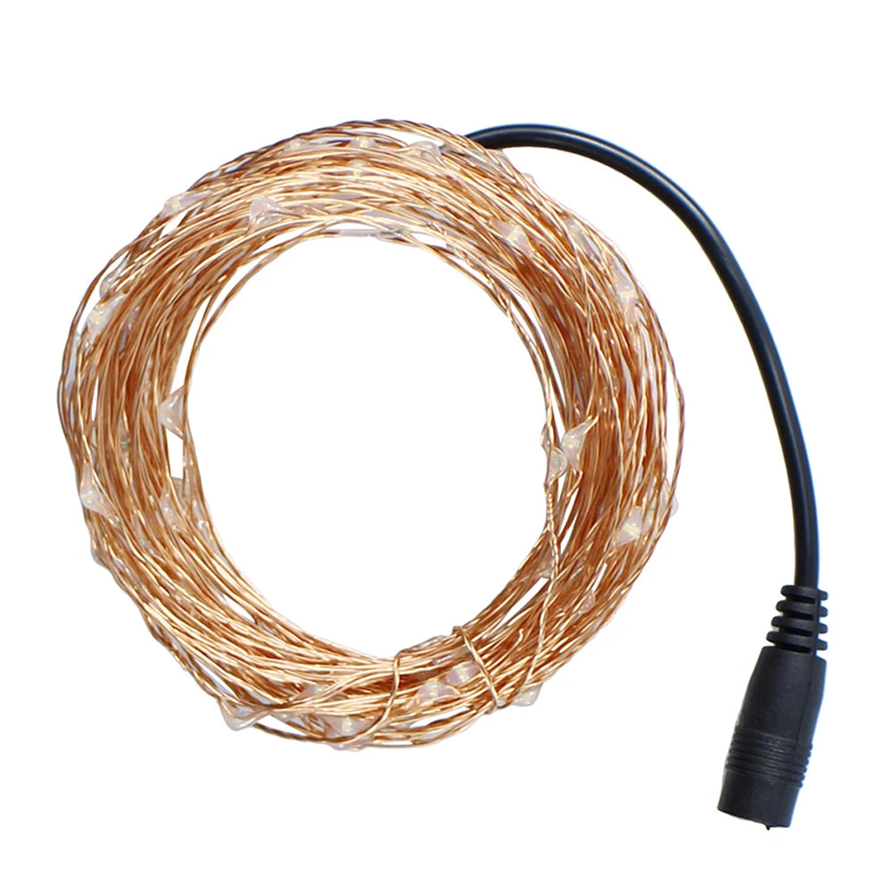 guirlande lumineuse dorée led adhésive moderne 10m 20m 30m 50m noel decoration festive jardin