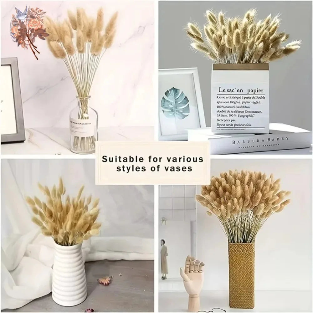 bouquet fleurs séchées plumes fines décoration intérieure mariage anniversaire rustique beigeclair naturel driedflowers