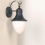 lampe murale noire classique fixée éclairage led opaque maison cour