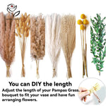 bouquet fleurs séchées pampa plumes vertes intérieur décoration naturelle rustique anniversaire mariage