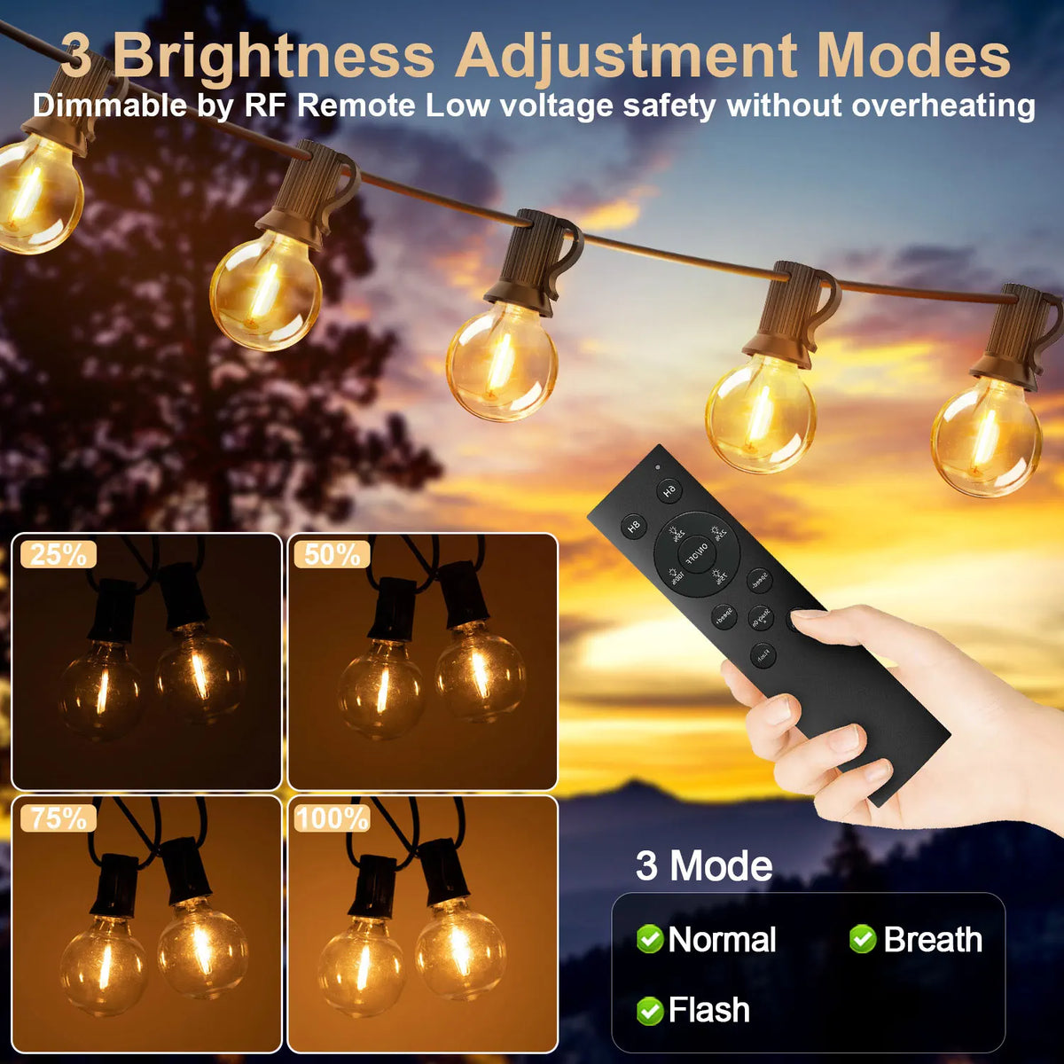 guirlande lumineuse led transparentes moderne vintage 15m 30m adaptateur télécommande clips noirs
