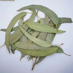 feuilles eucalyptus sèches vert clair decoration mariage intérieur parfumées naturelles rustiques 100g 200g 400g