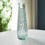 vase transparent gravé classique décoration intérieure plante hydroponique maison festive