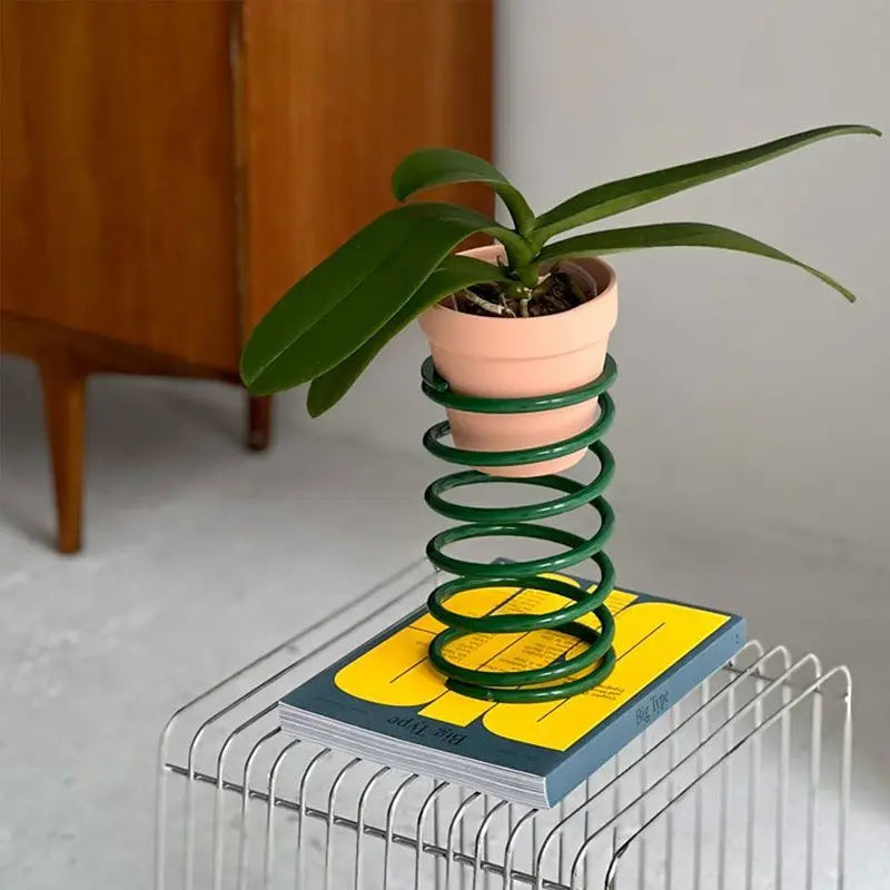 support plante moderne spirale adhésif pots plante vert bleu orange jaune