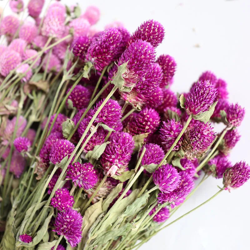 bouquet fleurs séchées violettes blanches naturel rustique décoration intérieur