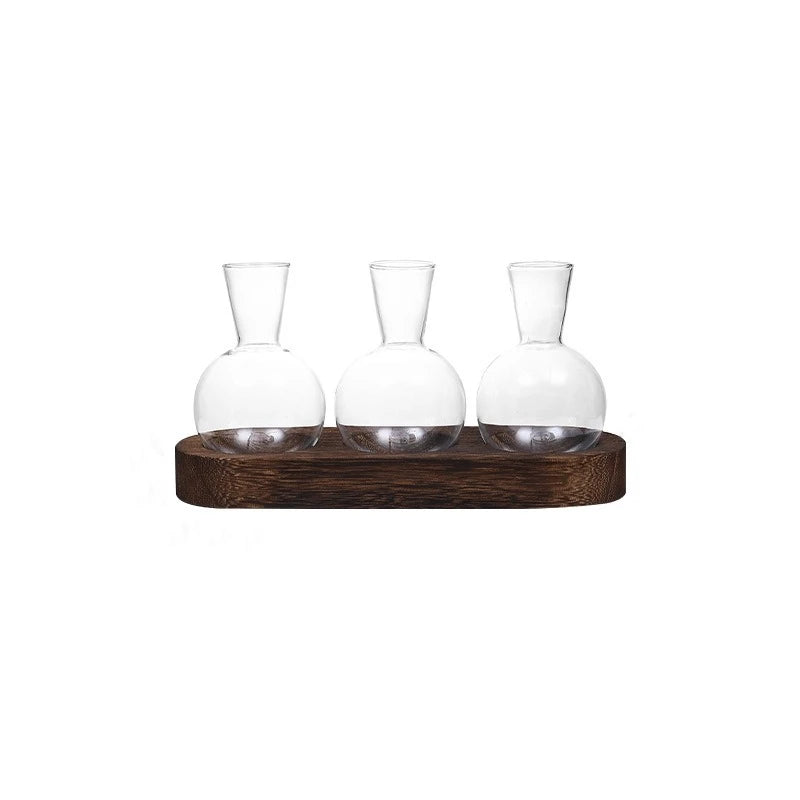 vases transparents modernes verre plantes décoration intérieur nhà dưỡng trồng hydroponique