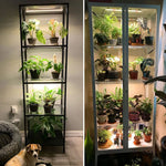 éclairage led plante 3000k têtes 30 50cm blanc vis contrôleur distant