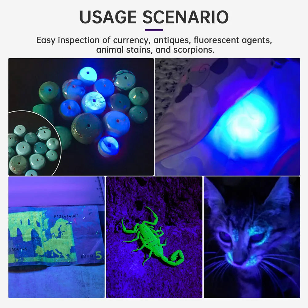 lampe poche uv rechargeable 365nm tactique ipx8 résistante l'eau modes puissance variable