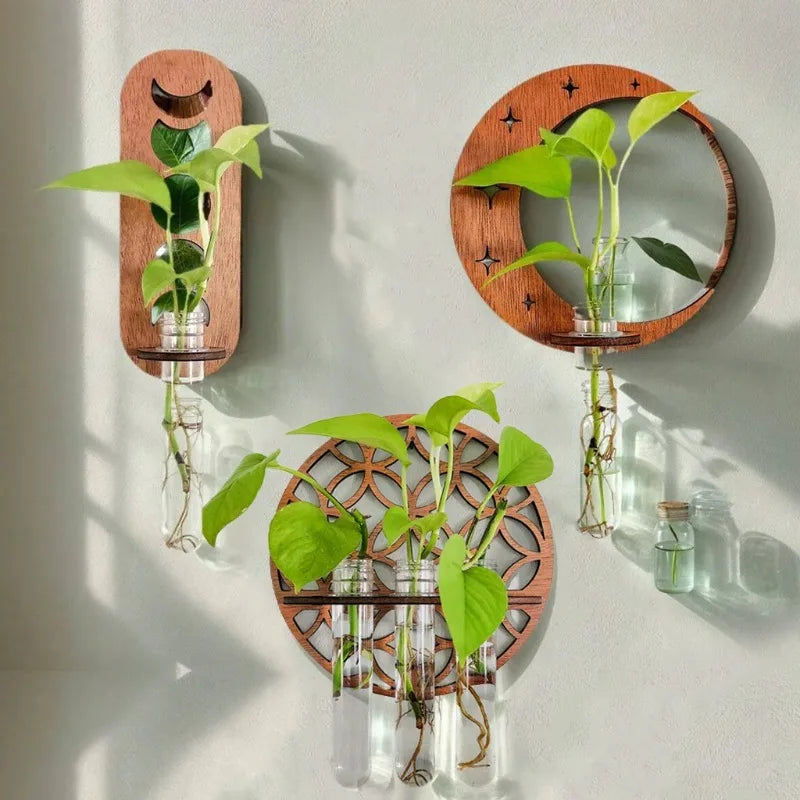 décoration murale bois plantes tubes essai propagation plante bohème chambre salon