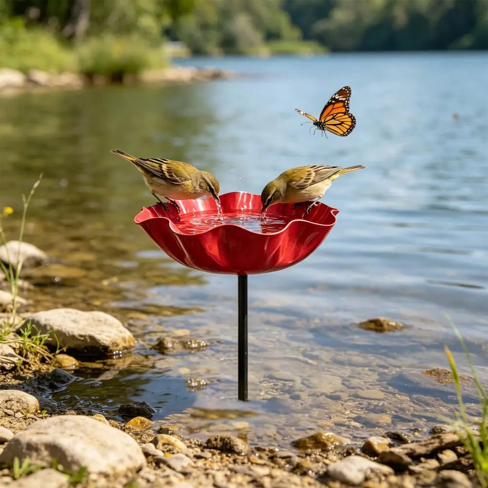 bassin oiseaux rouge forme fleur moderne extérieur tringle jardin pollinisateurs eau