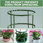 support plantes vert clips moderne arrangement fleurs tige fixation jardinextérieur