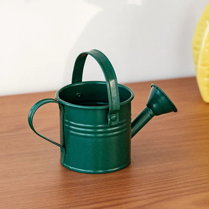 arrosoir métal enfant decoration intérieure plante verte rouge jaune bleu clair vintage lisse anti