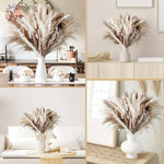 décoration boho bouquet fleurs séchées pampas naturel beige blanc vase maison anniversaire