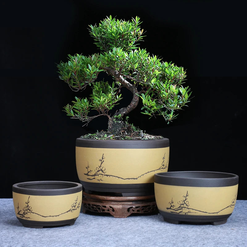 pots bonsaï porcelaine beige noir vert olive branches fleurs dessinées classique traditionnel
