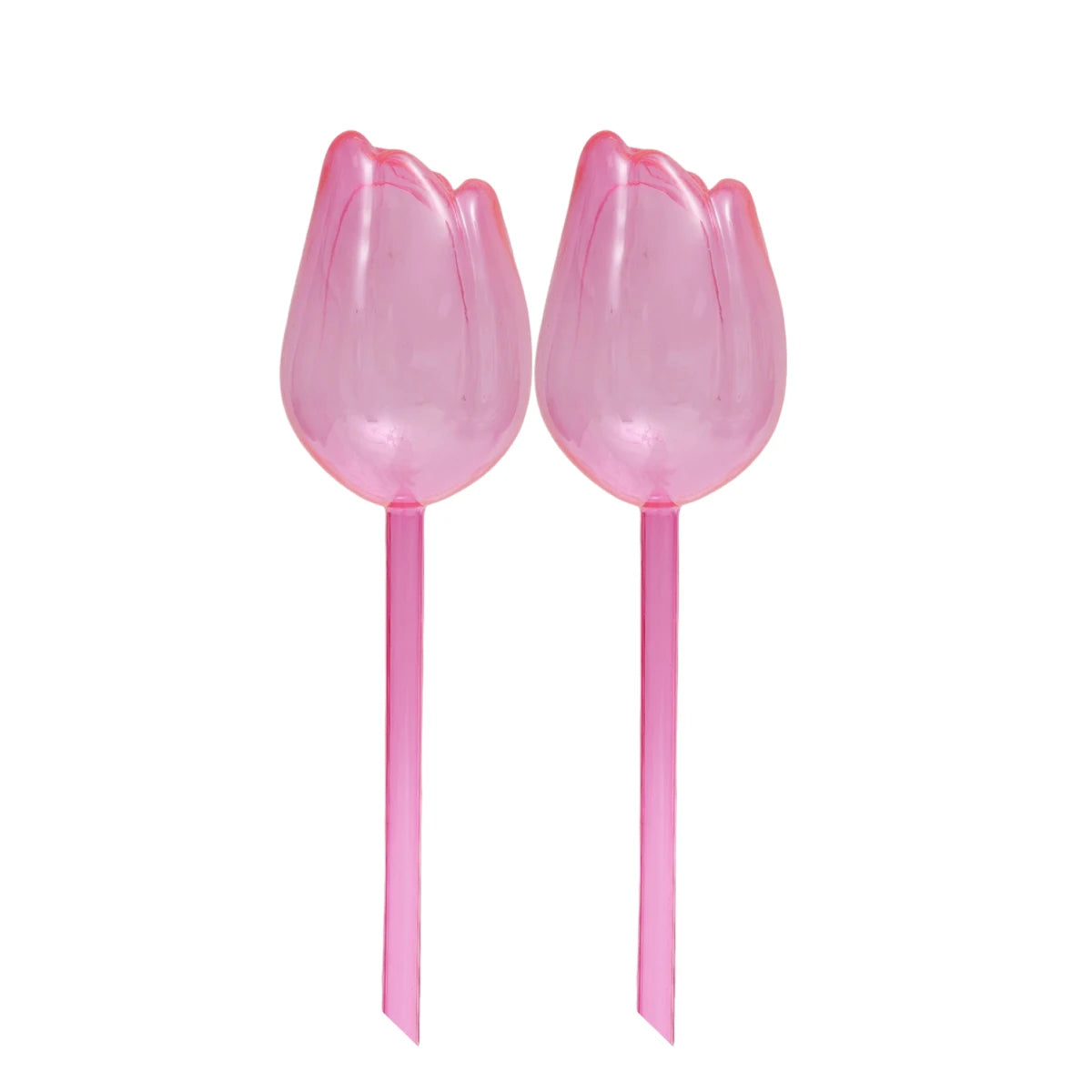 pique plantes tulipe plastique rose violet blanc translucide moderne adhésif kit arrosage