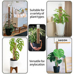 support plantes blanc perforé moderne pot drainage auto arrosageintérieur jardin