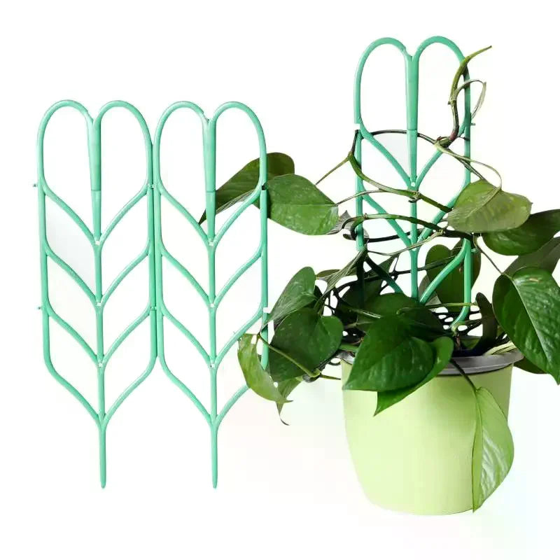 supports plante grimpante treillis feuilles vintage pots verts tiges fixantes aménagement serre