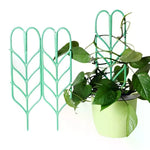 supports plante grimpante treillis feuilles vintage pots verts tiges fixantes aménagement serre