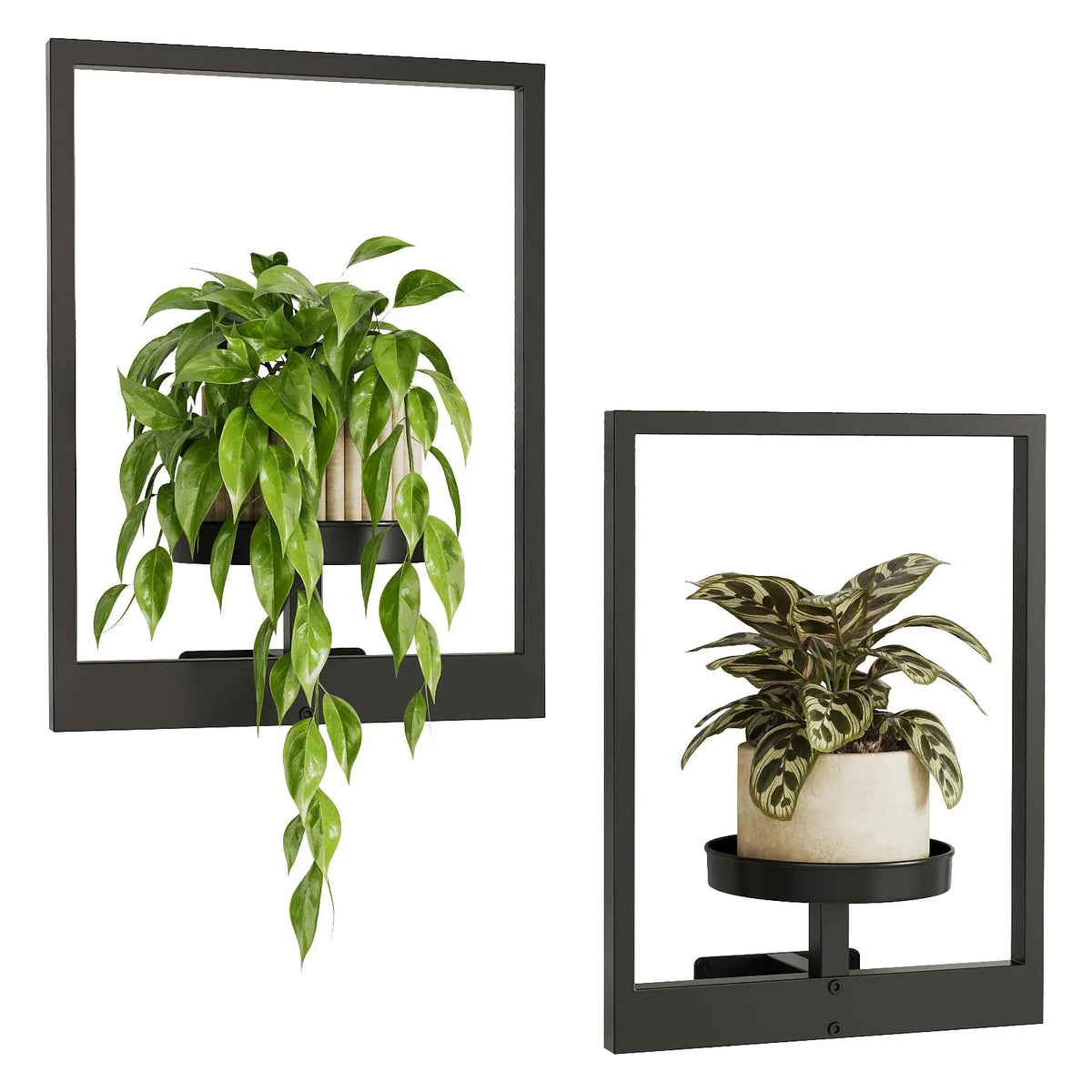 support mural plante noir plateau lisse moderne vis fixationsintérieur decoration plants fenêtre metal