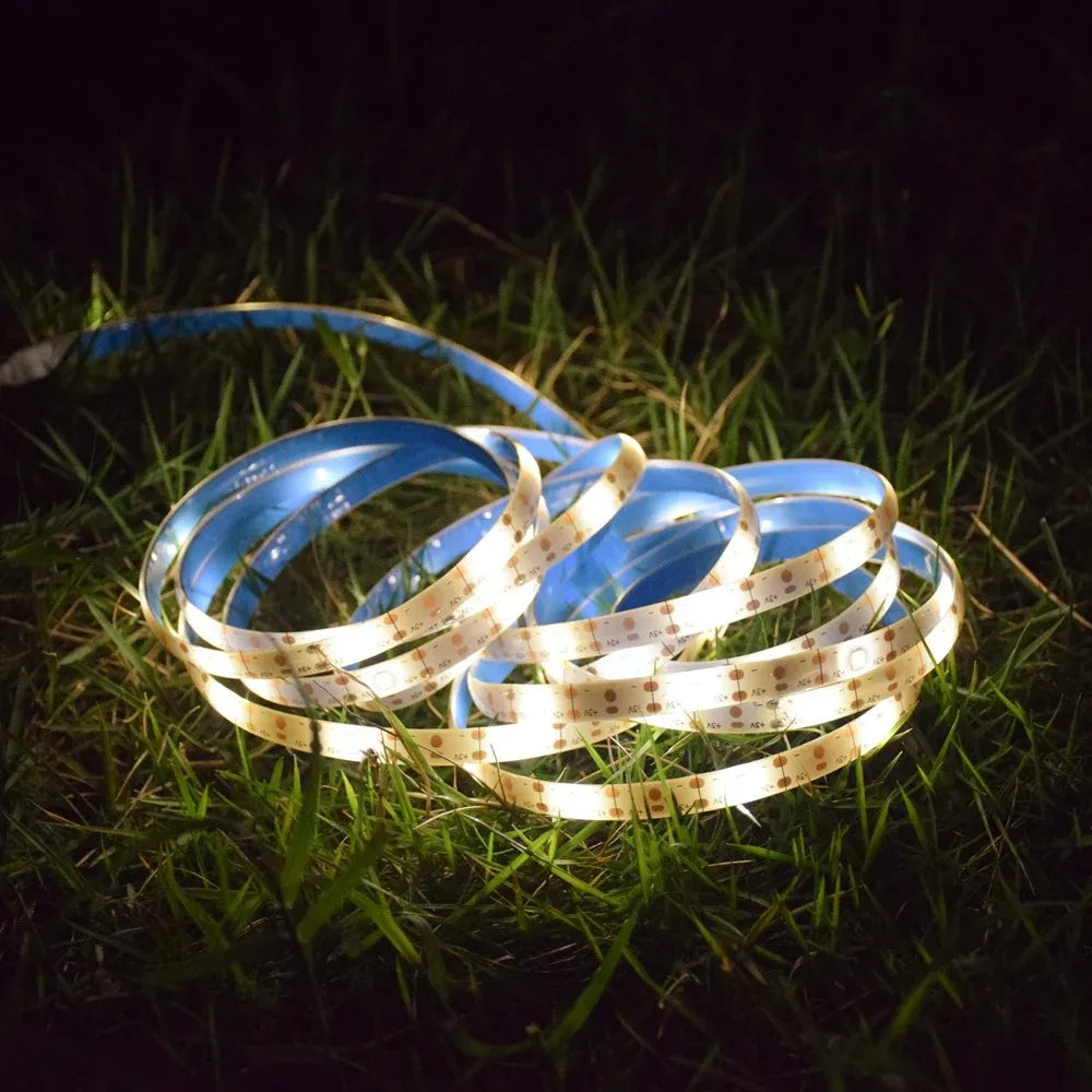 Ruban LED solaire blanc froid éclairant une allée de jardin