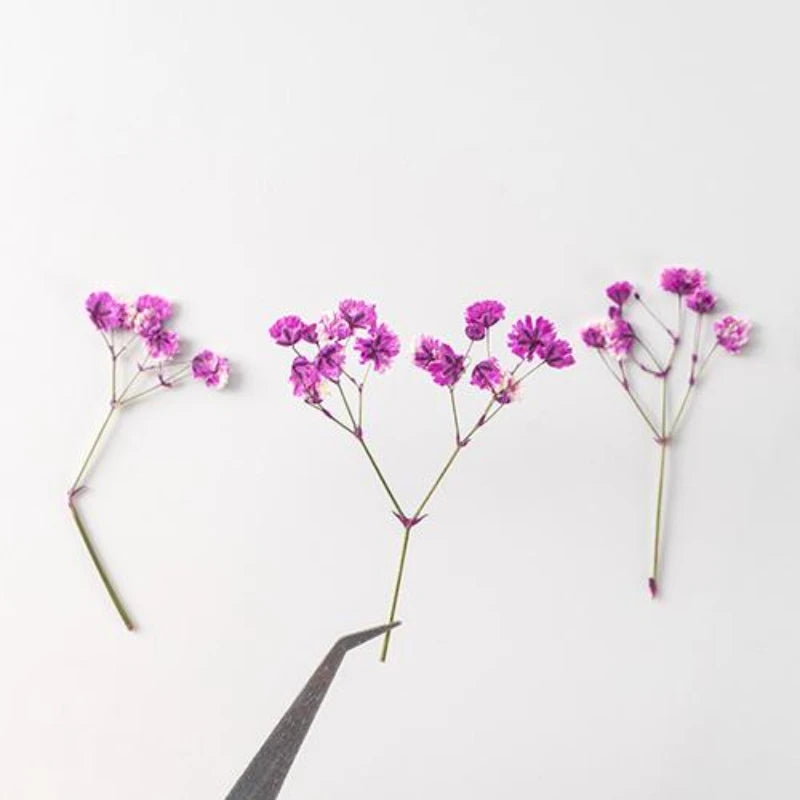 fleurs séchées bouquet naturel violet blanc jaune décoration intérieure minimaliste anniversaire baby shower