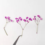 fleurs séchées bouquet naturel violet blanc jaune décoration intérieure minimaliste anniversaire baby shower