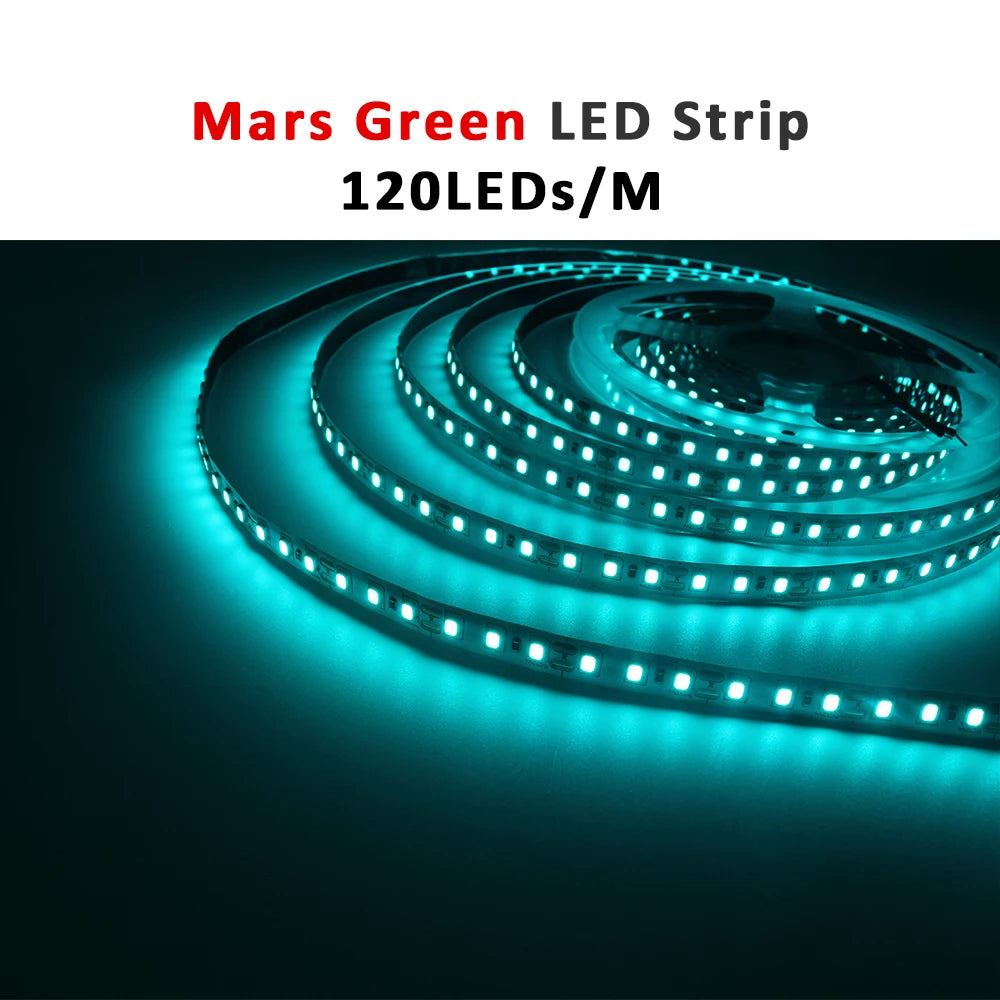 ruban led 12v 120leds/m blanc chaud adhésif moderne 50000h 3000k certification rohs ccc fcc