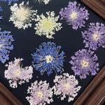 fleurs séchées violettes bleues décor maison anniversaire baby shower bricolage peinture décoration naturelle artificielle