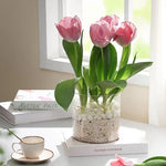mini jardins verre transparent plante pierre sucre coloré moderne minimalisteintérieurextérieur