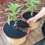 anneaux protection racines plantes noirs adhésifs texture rugueuse uv résistants pratique utilitaire jardins