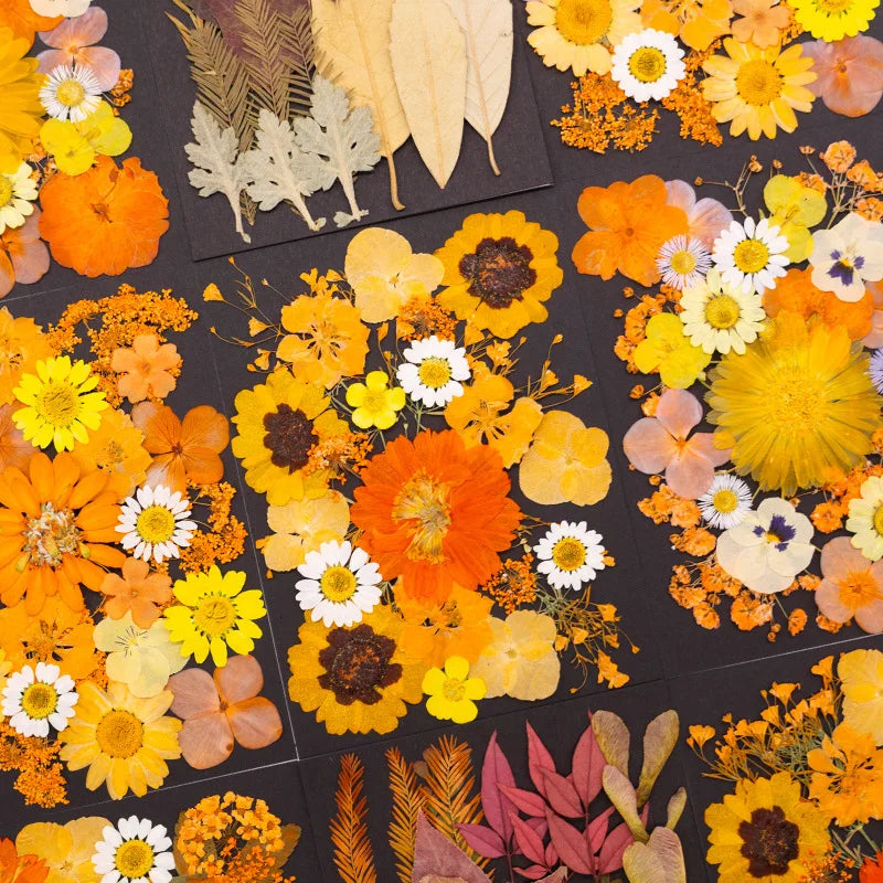 fleurs séchées orange naturelles artisanal décoration maison intérieur variées rouges vertes jaunes blanches bricolage