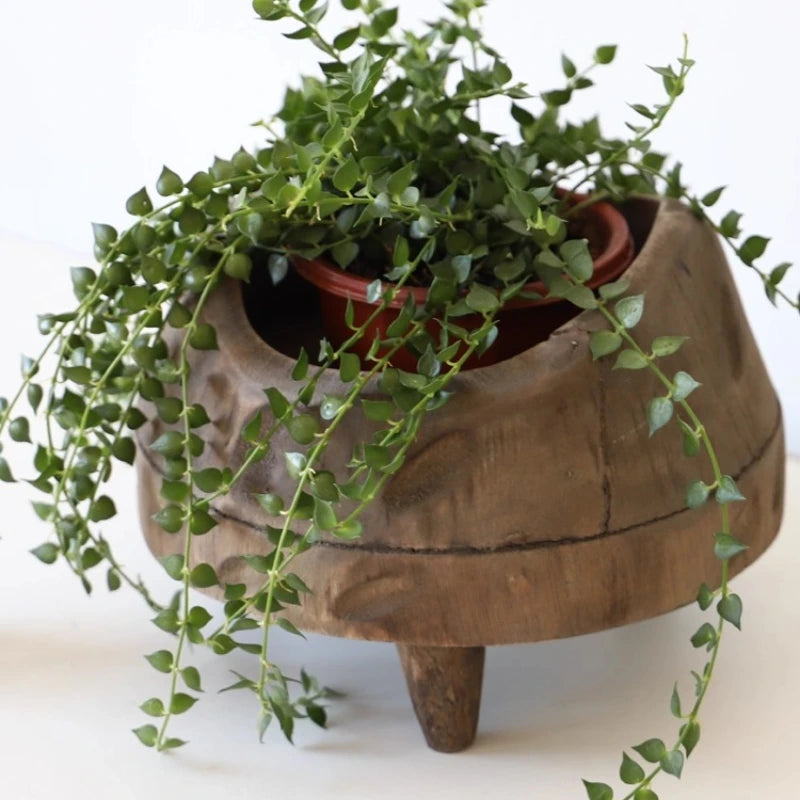 Cache pot bois gravures rustique marron clair sans fixation arrangement floral salon entrée chambre