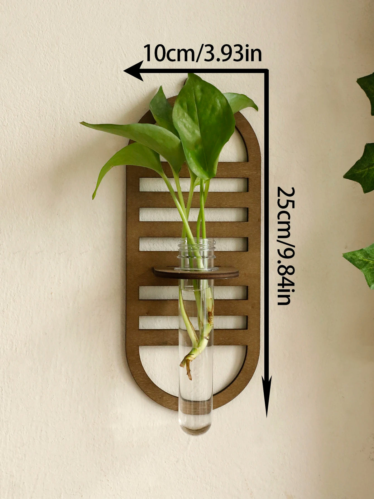 porte plantes mural verre transparent bois motifs géométriques modernes décoration salon chambre