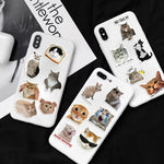 autocollants chats multicolores humoristiques adhésifs 500 pièces stickers mèmes cute