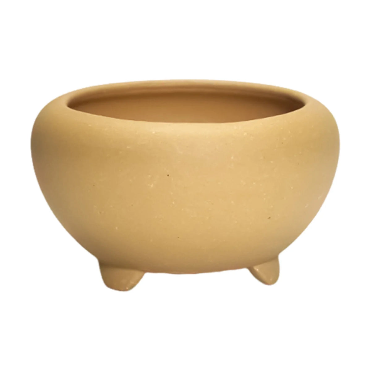 pots succulentes violet marron noir pierre mat classiqueintérieur décoration maisonjunction classicbeige